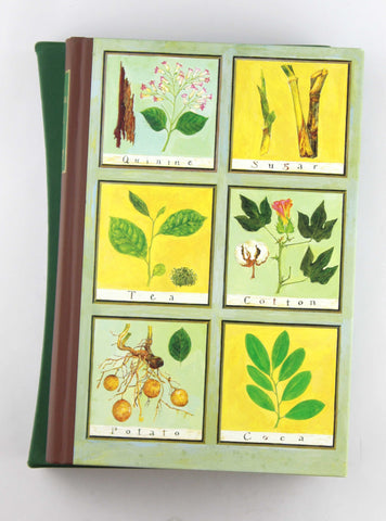 Seeds of Change: Six Plants that Transformed Mankind, by Henry Hobhouse  