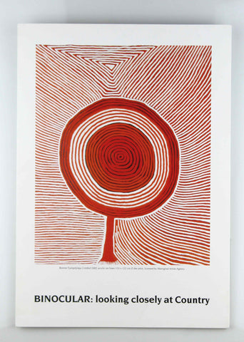 Binocular: Looking Closely at Country, by Ivan Dougherty Gallery  